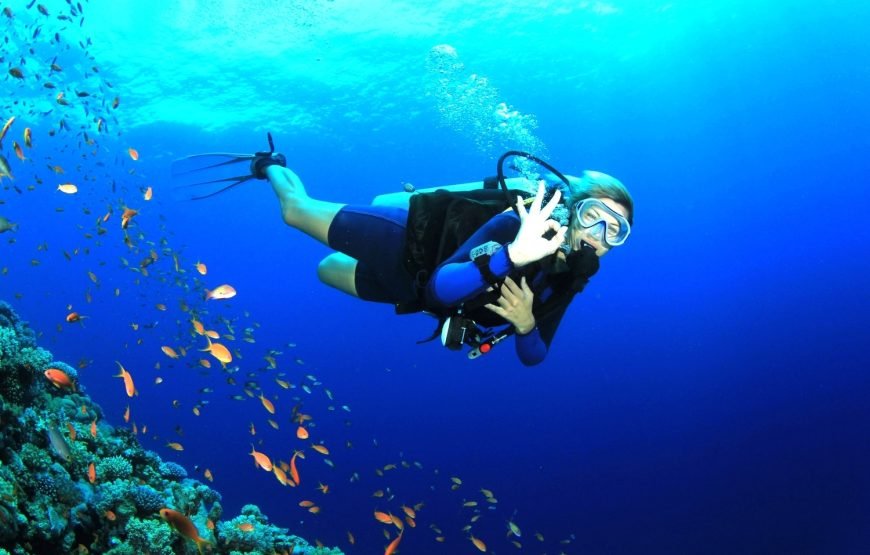 Malvan Scuba Diving at GOA