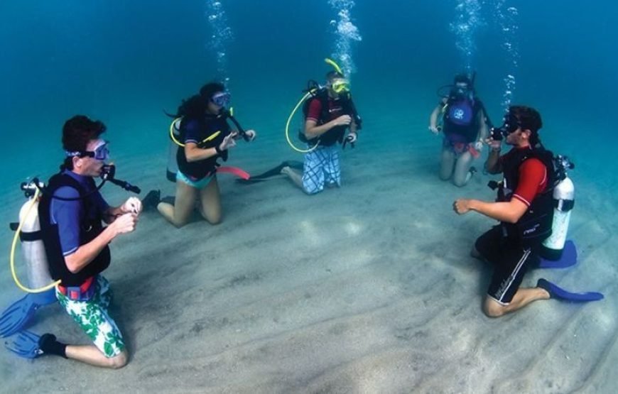 3 Nihgt GOA Tour Package