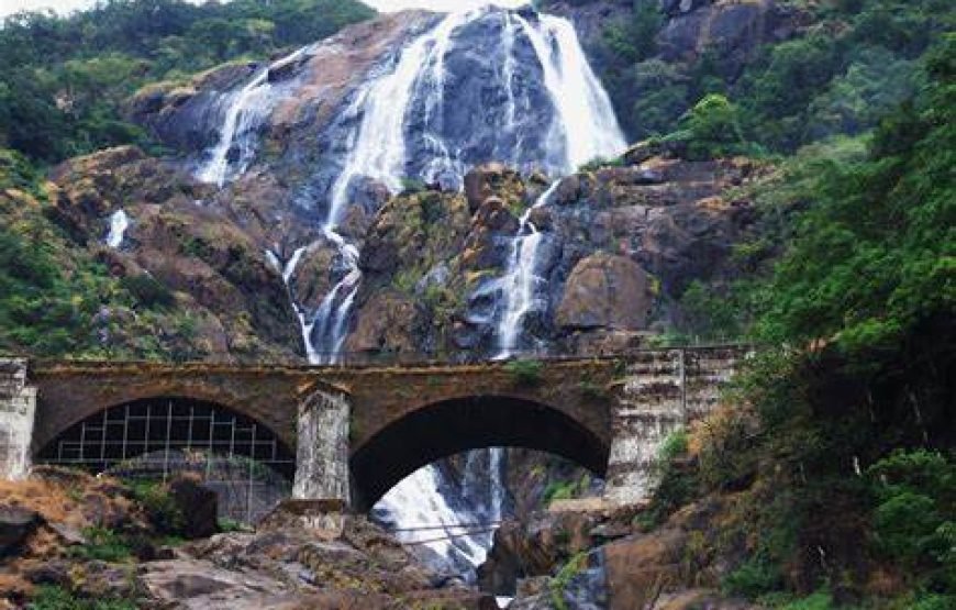 Dudh Sagar Waterfalls & Plantation Tour