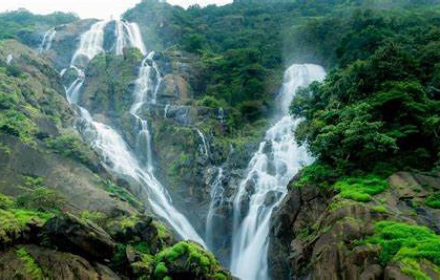 Dudh Sagar Waterfalls & Plantation Tour