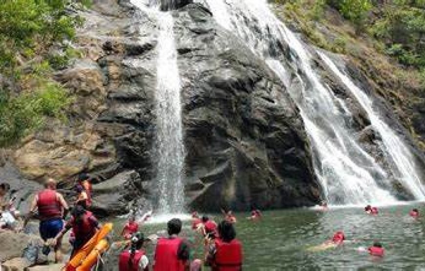Dudh Sagar Waterfalls & Plantation Tour