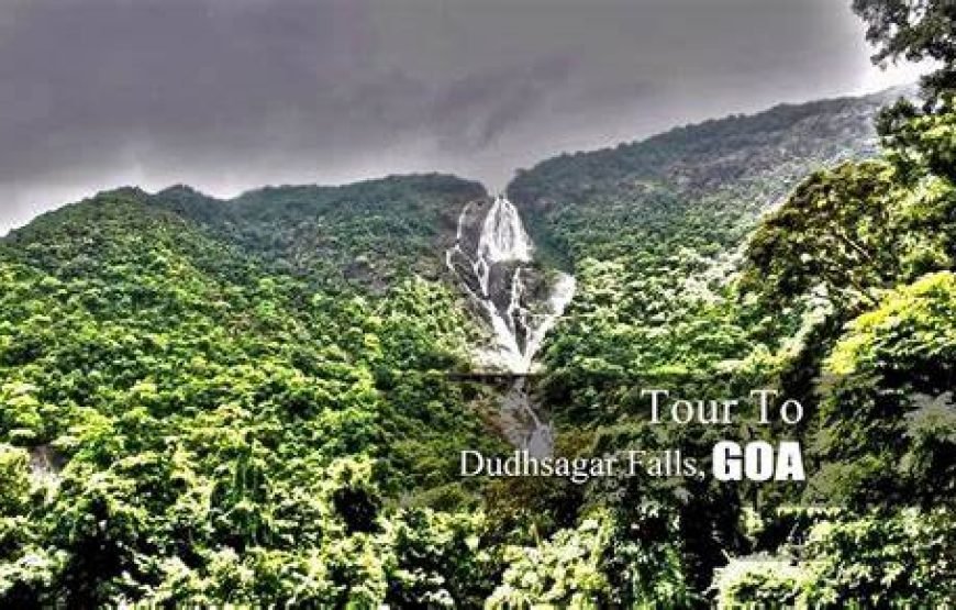 Dudh Sagar Waterfalls & Plantation Tour