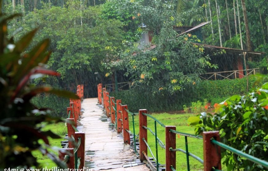 Dudh Sagar Waterfalls & Plantation Tour