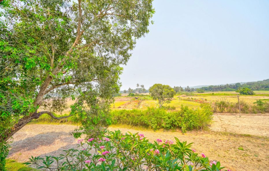 W2G Home Stay at Calangute GOA