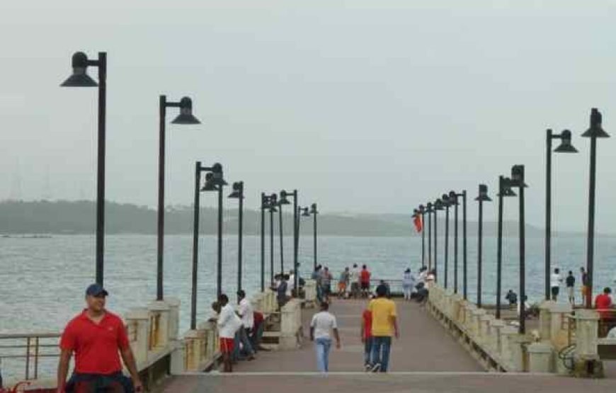 South Goa Tour by AC Car ( 4 Person )