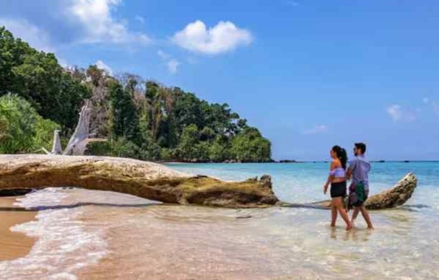 South Goa Tour by AC Car ( 4 Person )