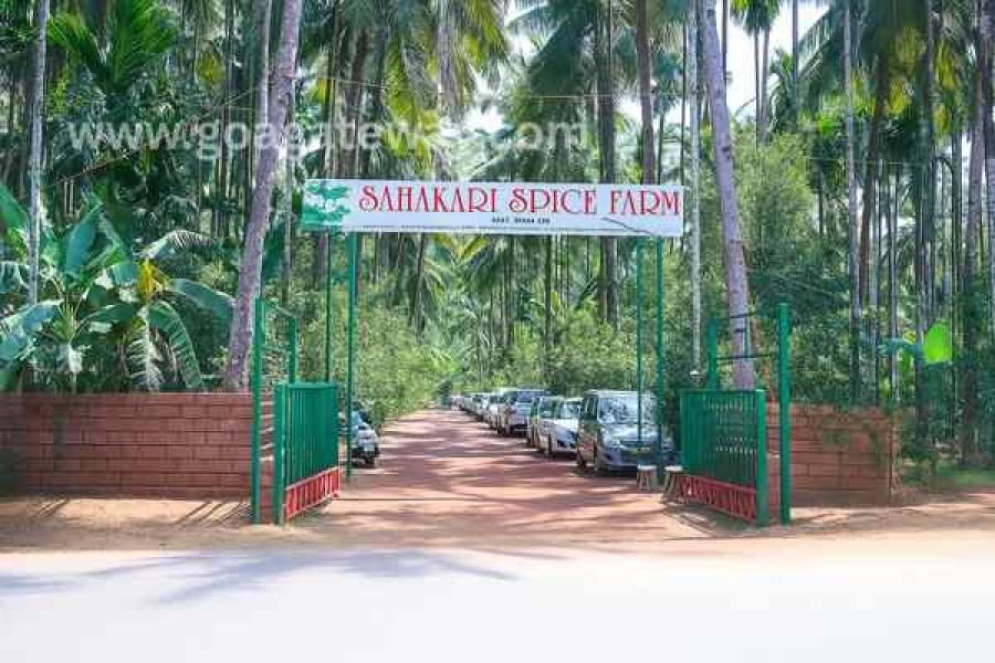 Spice Plantation Tours: Sahakari Spice Farm (Ponda)